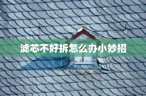 滤芯不好拆怎么办小妙招