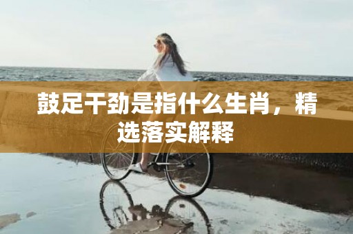 鼓足干劲是指什么生肖，精选落实解释