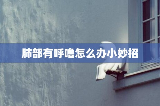 肺部有呼噜怎么办小妙招
