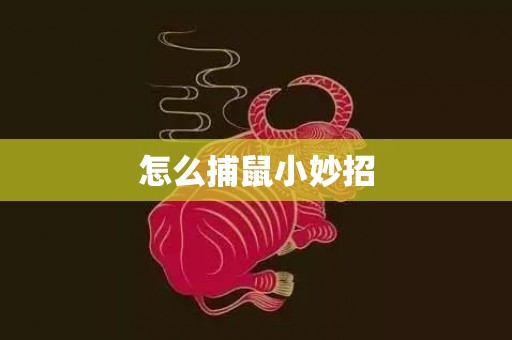 怎么捕鼠小妙招