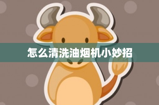 怎么清洗油烟机小妙招