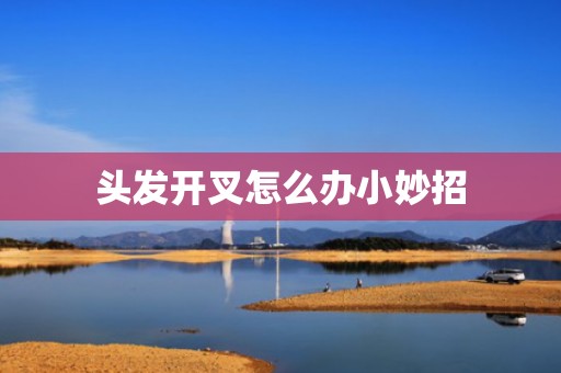 头发开叉怎么办小妙招