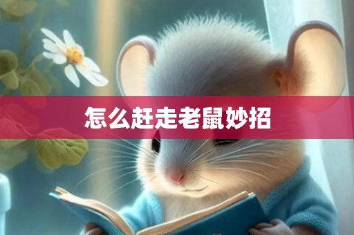 怎么赶走老鼠妙招