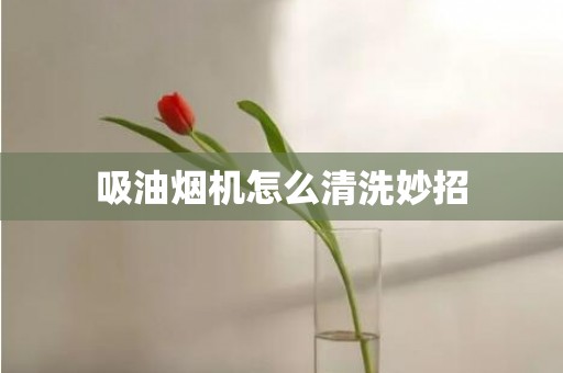 吸油烟机怎么清洗妙招
