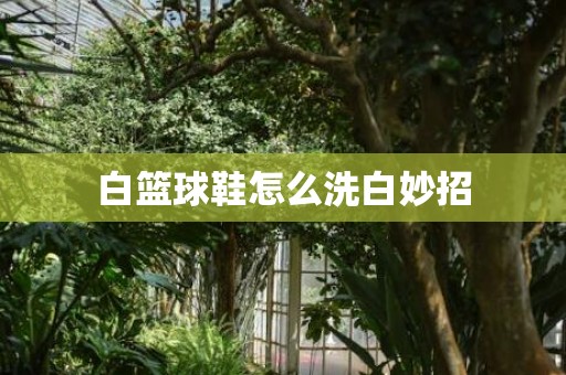白篮球鞋怎么洗白妙招