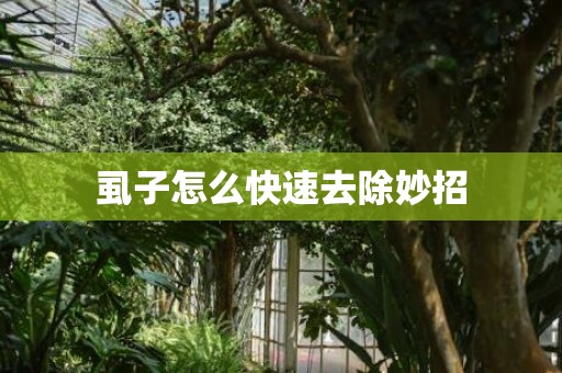 虱子怎么快速去除妙招