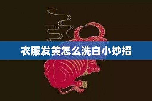 衣服发黄怎么洗白小妙招