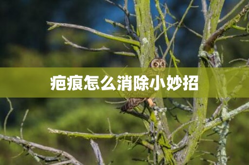 疤痕怎么消除小妙招