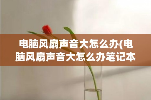 电脑风扇声音大怎么办(电脑风扇声音大怎么办笔记本)