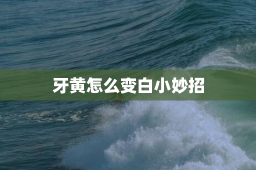 牙黄怎么变白小妙招