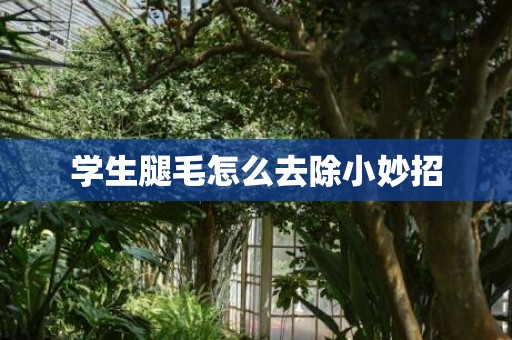 学生腿毛怎么去除小妙招