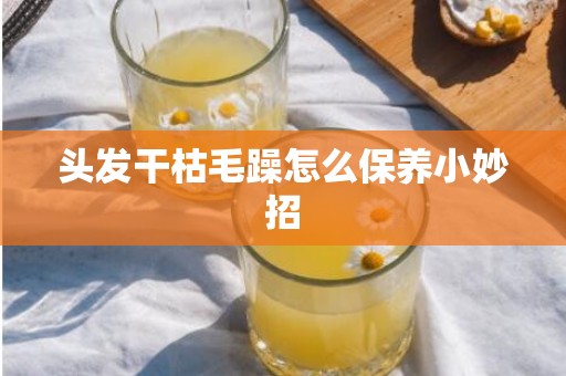 头发干枯毛躁怎么保养小妙招