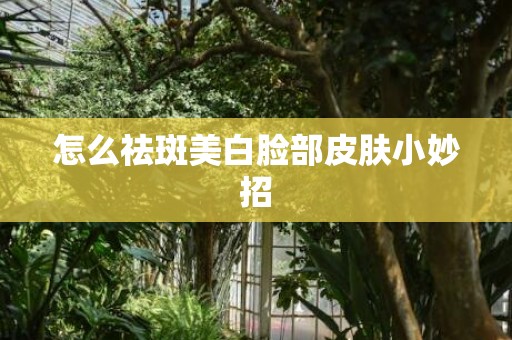 怎么祛斑美白脸部皮肤小妙招