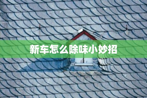 新车怎么除味小妙招