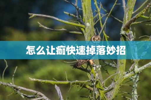 怎么让痂快速掉落妙招