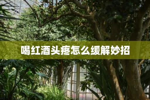 喝红酒头疼怎么缓解妙招