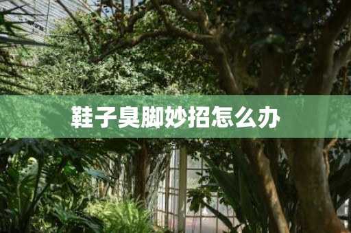 鞋子臭脚妙招怎么办