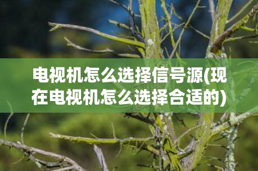 电视机怎么选择信号源(现在电视机怎么选择合适的)