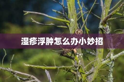 湿疹浮肿怎么办小妙招