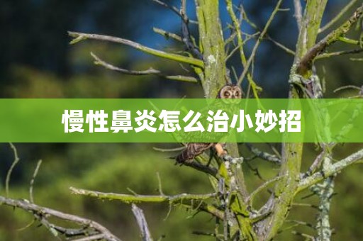 慢性鼻炎怎么治小妙招