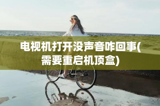 电视机打开没声音咋回事(需要重启机顶盒)