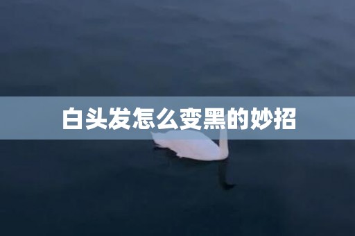 白头发怎么变黑的妙招