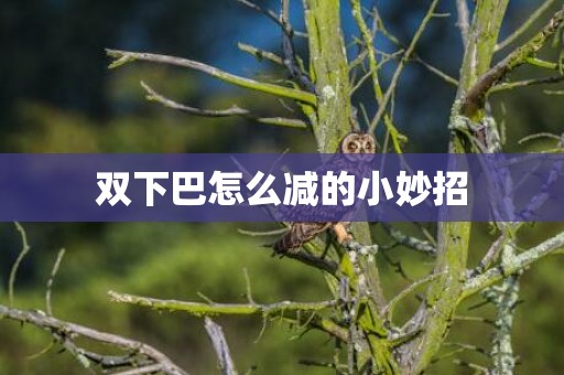 双下巴怎么减的小妙招