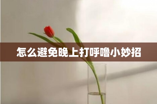 怎么避免晚上打呼噜小妙招