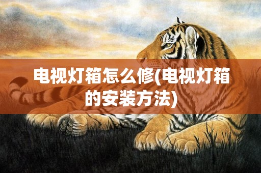 电视灯箱怎么修(电视灯箱的安装方法)