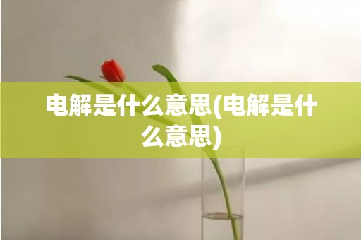 电解是什么意思(电解是什么意思)