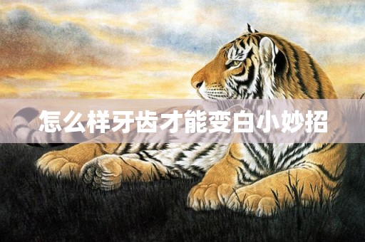 怎么样牙齿才能变白小妙招