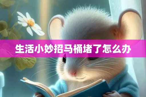 生活小妙招马桶堵了怎么办