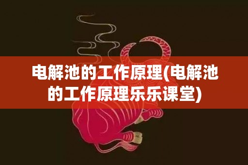 电解池的工作原理(电解池的工作原理乐乐课堂)
