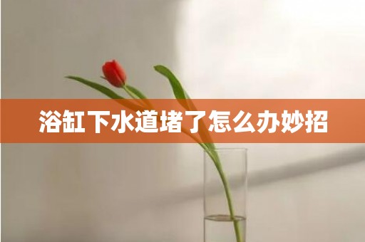 浴缸下水道堵了怎么办妙招