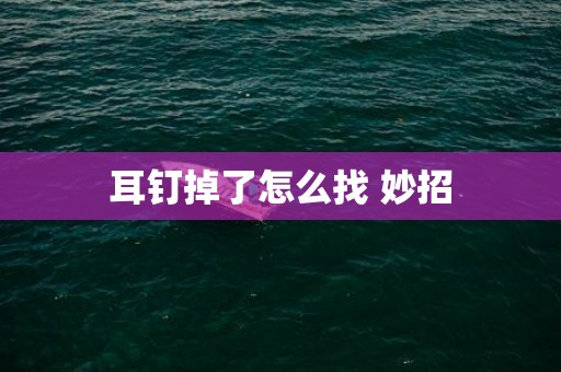 耳钉掉了怎么找 妙招