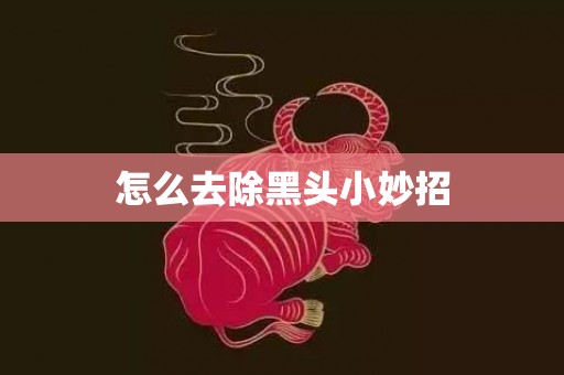 怎么去除黑头小妙招