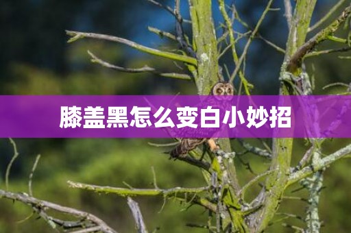 膝盖黑怎么变白小妙招