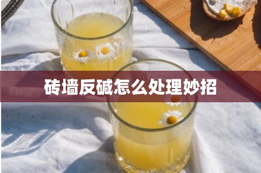 砖墙反碱怎么处理妙招