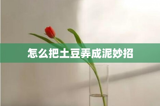 怎么把土豆弄成泥妙招