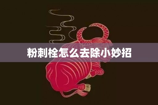 粉刺栓怎么去除小妙招
