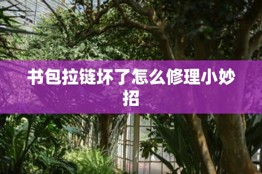 书包拉链坏了怎么修理小妙招