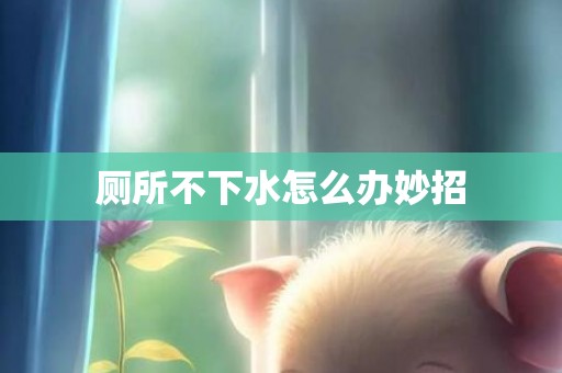 厕所不下水怎么办妙招