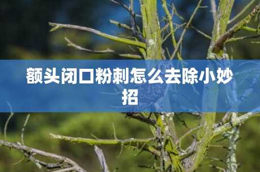 额头闭口粉刺怎么去除小妙招