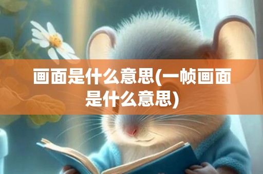 画面是什么意思(一帧画面是什么意思)