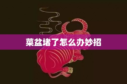 菜盆堵了怎么办妙招