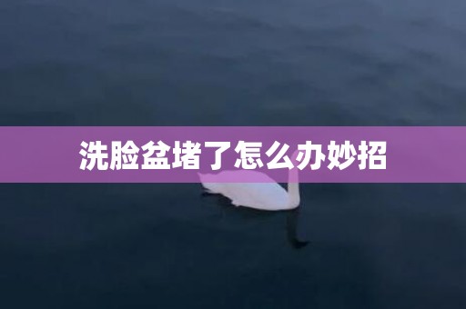 洗脸盆堵了怎么办妙招