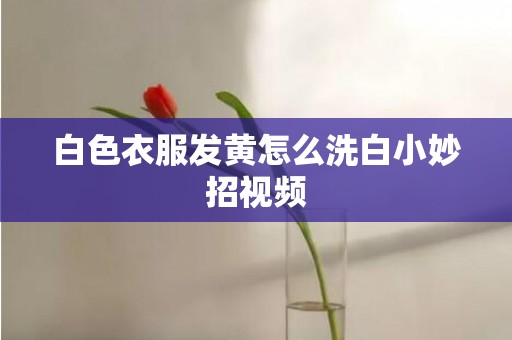 白色衣服发黄怎么洗白小妙招视频