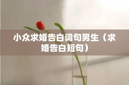 小众求婚告白词句男生（求婚告白短句）