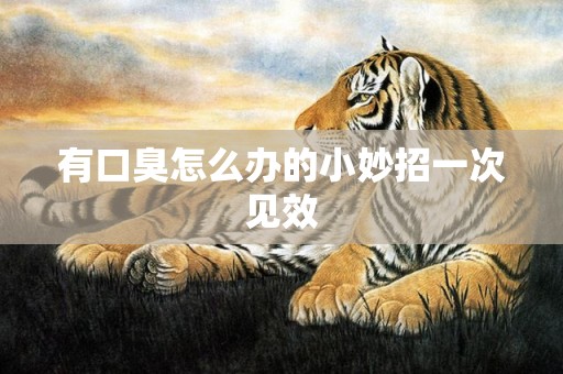 有口臭怎么办的小妙招一次见效