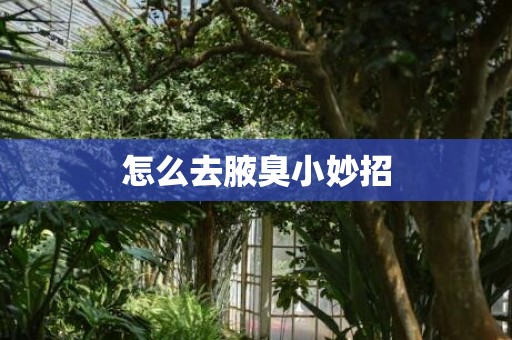 怎么去腋臭小妙招